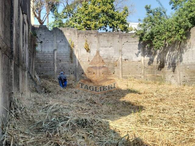 #8478 - Terreno para Venda em São Paulo - SP - 1